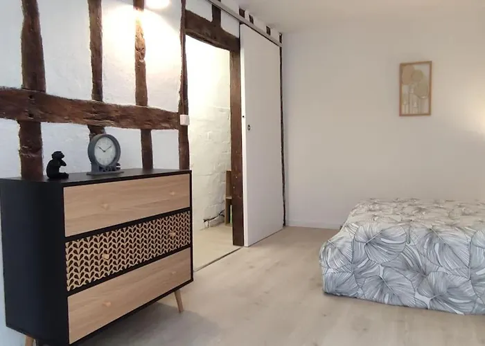 102 Duplex Familial De Charme Avec Colombages En Immersion Historique Et Confort Au Coeur De La Ville